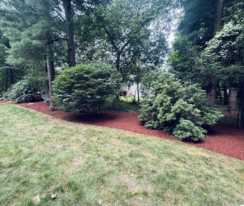 Landscape design